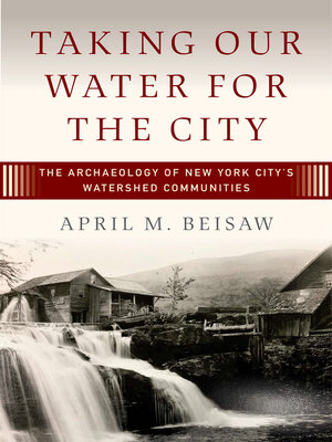 cover image of Taking Our Water for the City